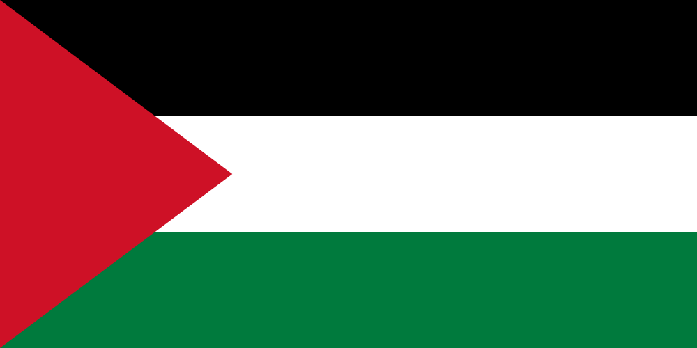 Palestine Flag Colors, Meaning & History - World Flags 101