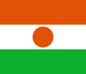 Niger flag